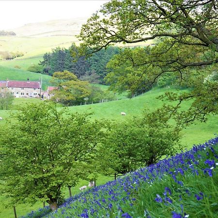 Bluebells Cottage Chop Gate Exterior foto