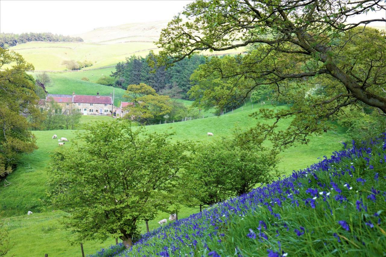 Bluebells Cottage Chop Gate Exterior foto