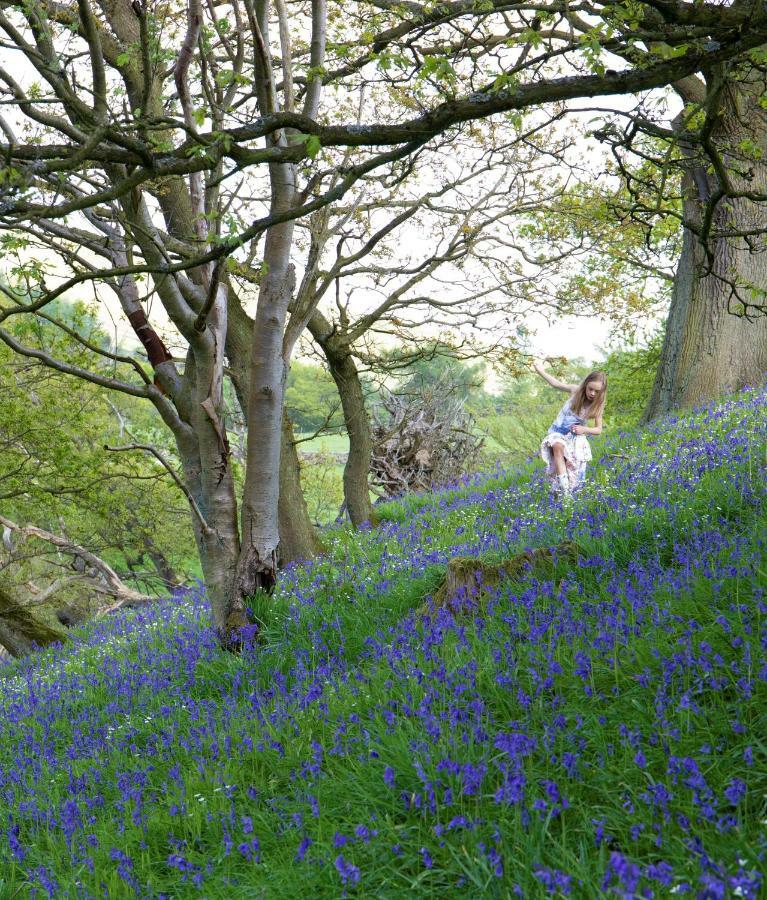 Bluebells Cottage Chop Gate Exterior foto